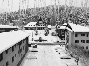 DUPLEX EN LA NIEVE La Molina